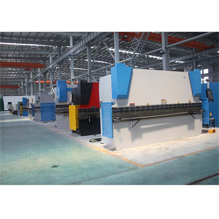 WE67K-100T/3200 हाइड्रोलिक सीएनसी धातु शीट अनुकूलित उद्योग मशीन प्रेस ब्रेक